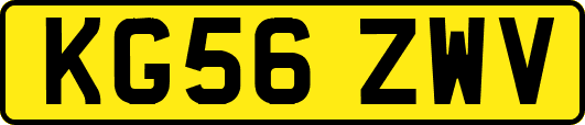 KG56ZWV