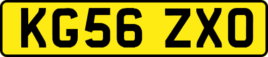 KG56ZXO