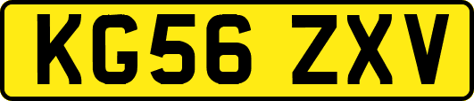 KG56ZXV