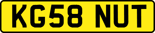 KG58NUT