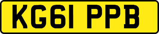 KG61PPB