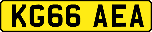 KG66AEA