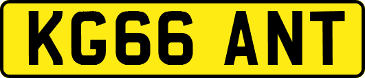 KG66ANT