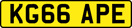 KG66APE