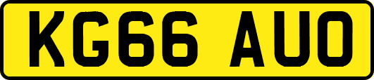 KG66AUO