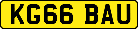 KG66BAU
