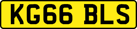 KG66BLS