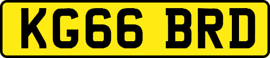 KG66BRD