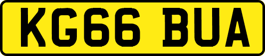 KG66BUA
