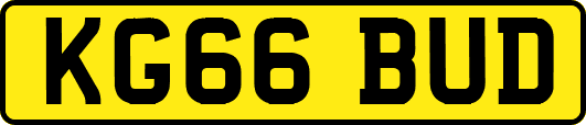 KG66BUD