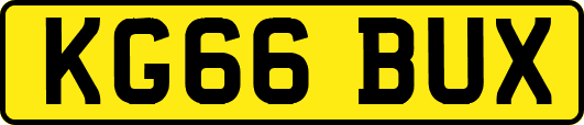 KG66BUX