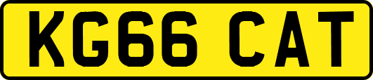 KG66CAT