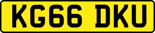 KG66DKU