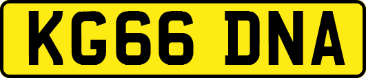 KG66DNA