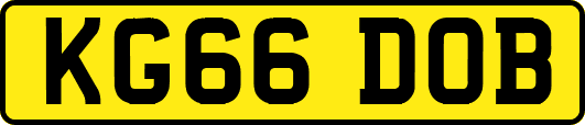 KG66DOB