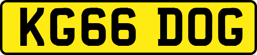 KG66DOG