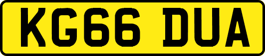 KG66DUA