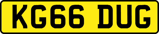 KG66DUG