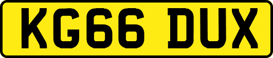 KG66DUX