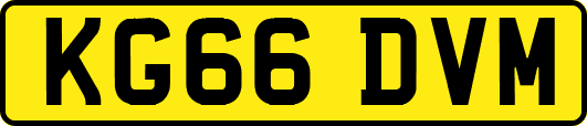 KG66DVM