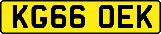 KG66OEK