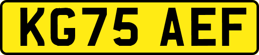 KG75AEF