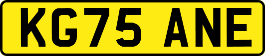 KG75ANE