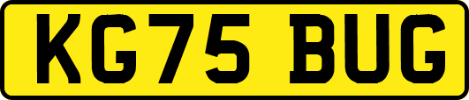 KG75BUG
