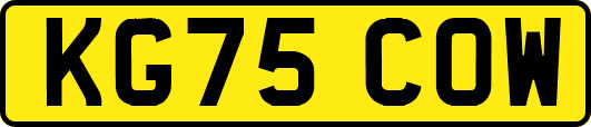 KG75COW