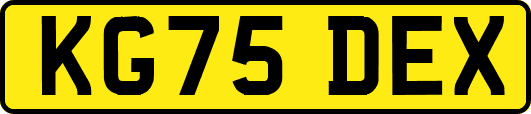 KG75DEX