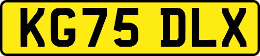 KG75DLX
