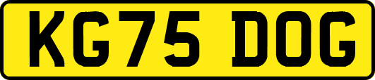 KG75DOG