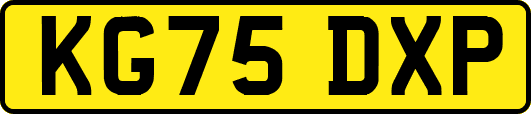 KG75DXP