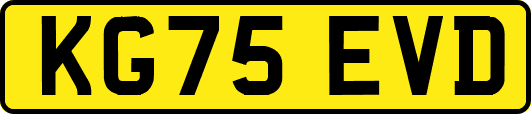 KG75EVD