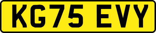 KG75EVY