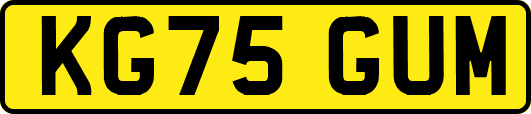 KG75GUM