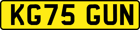 KG75GUN