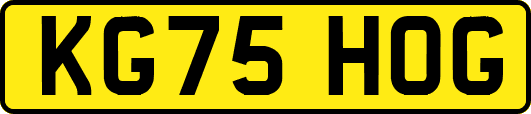 KG75HOG