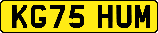 KG75HUM