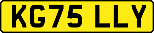 KG75LLY