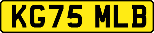 KG75MLB