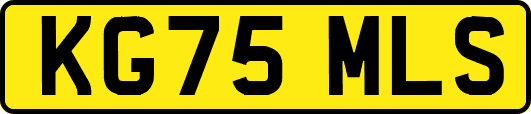 KG75MLS