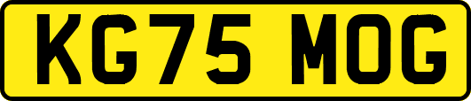 KG75MOG