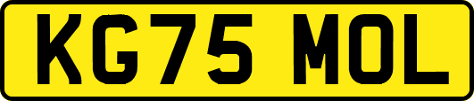 KG75MOL