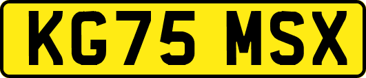 KG75MSX