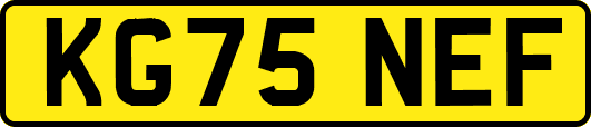 KG75NEF