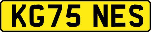 KG75NES