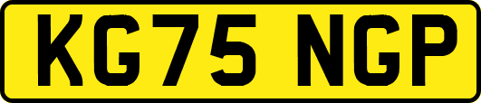 KG75NGP