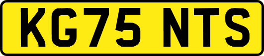 KG75NTS