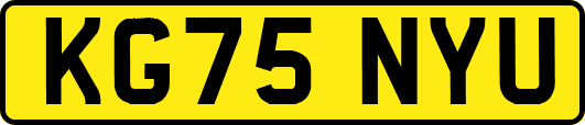 KG75NYU